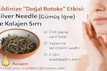 Silver Needle (Gümüş İğne) çayının kolajen üretimini destekleyerek cilt elastikiyetini artıran ve kırışıklıkları azaltan doğal botoks etkisi.