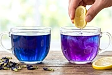 Toganoo Blue Butterfly Pea mavi çay ve limon sıkılınca mora dönüşen renk değiştiren bitki çayı sunumu